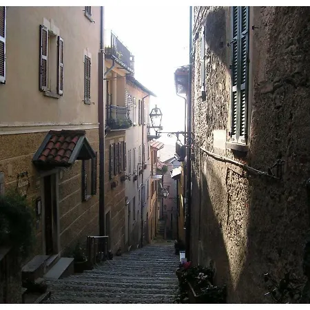 Camilia 13 * Acquaseria